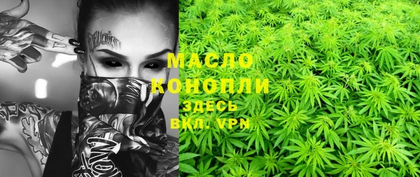 тгк Абаза