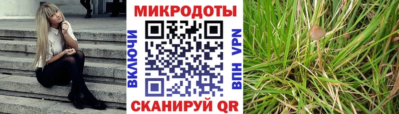 Псилоцибиновые грибы мухоморы  Покачи 